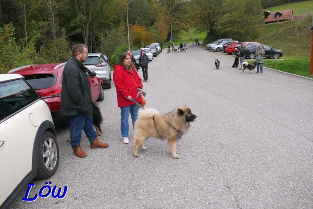 13.10.2024 - Dwix ist sehr aufgeregt